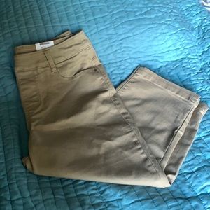 NWT Tome and Tru cropped khakis